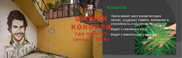 PSILOCYBIN Балахна
