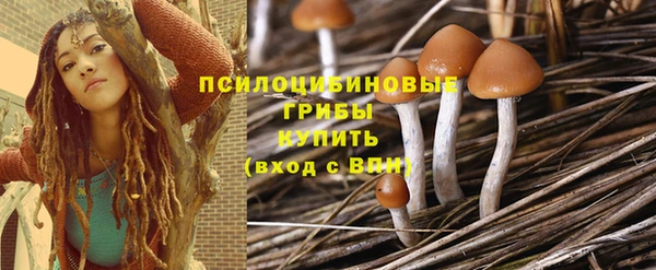PSILOCYBIN Балахна
