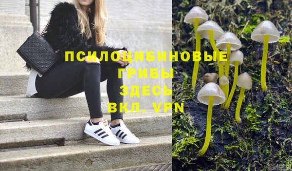 мескалин Баксан