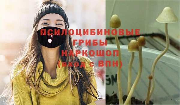 2c-b Балабаново