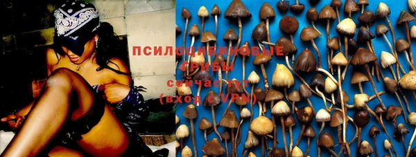 2c-b Балабаново