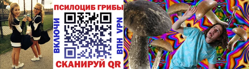 mega ТОР  Сретенск  Псилоцибиновые грибы ЛСД  где купить  